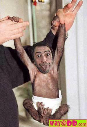 funny-pictures-monkey-boy-n1e.jpg
